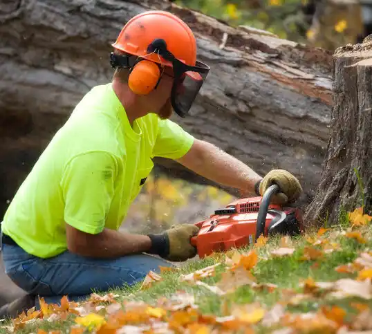 tree services Leslie